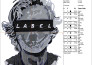 do best embroidery digitizing design, dst into emb, pes, embroidery digitizing
